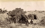 Kattea encampment, Kalahari Desert