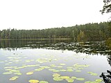 Het Lasa järv, een meer in Holdre