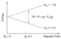 Splitting of nuclei spin states in an external magnetic field