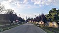 Straße (Petőfi Sándor utca) mit Blick auf die reformierte Kirche