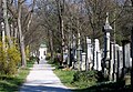 Südlicher Friedhof