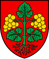 Westlich Raron Halbbezirk