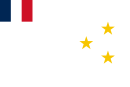 Halep Devleti bayrağı (1920–1924)