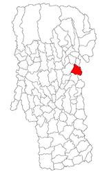 Location in Argeș County