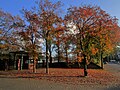 Heinz-Dettmer-Stadion – Sportstätte des TuS Blau-Weiß Lohne