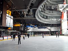 MegaICE skating rink (10/F)