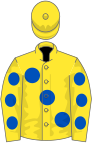 Yellow, large royal blue spots, spots on sleeves