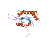 2hrf: Solution Structure of Cu(I) P174L HSco1