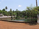 A pond in Revora