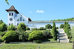 Image of a white castle with green hedges in front with a short stair set on the right side.