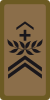 OR-6 - Sergeant major