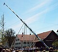 Maibaumaufstellen in Leeder, 2006