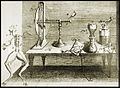 Galvani experiment (CardioNetworks ECGpedia).jpg