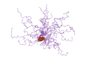 2jm2: Structure of the N-terminal subdomain of insulin-like growth factor (IGF) binding protein-6 and its interactions with IGFs