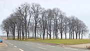 Thieplatz von Räbke am Ortsrand