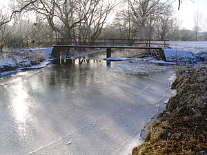 01/2010: Die Schwalm bei Loshausen VB 6