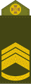 Старший майстер-сержант (Senior Master Sergeant)