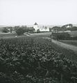 Viby Church c. 1900