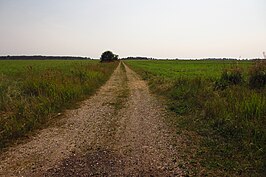 De polder van Audru