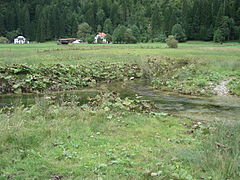 Zusammenfluss zweier Quellbäche bei Rahm