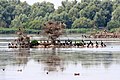 Natura2000-gebied de Lepelaarplassen, onderdeel van Nationaal Park Nieuw Land