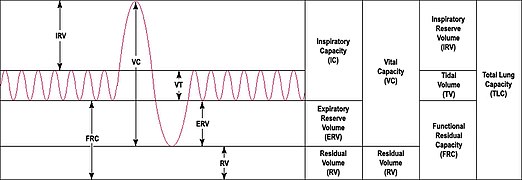 Diagramm Atemvolumen über Zeit, mit Erklärung der Parameter