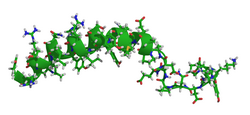 Neuropeptid Y