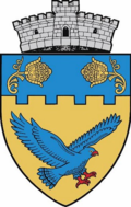 Wappen von Saschiz