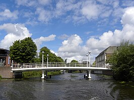 De Reuvensbrug