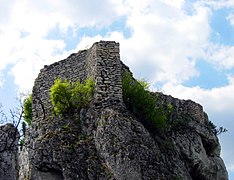 Ryczów Castle