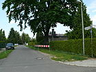 Narzissenweg