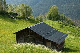 Alpwiese bei Birgisch