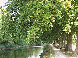 Canal d'Orléans bij Chécy.