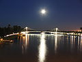 Die Passerelle des Deux Rives bei Nacht