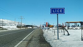 Lice under the snow