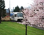 Train leaving the station