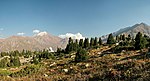 Nördlicher Tian Shan (Nationalpark Ile-Alatau)