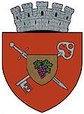 Wappen von Huși