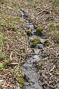 Bachverlauf vor dem Anfang der Rinne