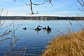 Tauchen im Murner See