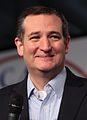 Senatör Ted Cruz (Teksas)