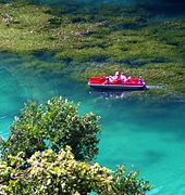 Starkes Wasserpflanzen-­wachstum im Sommer