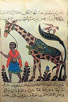 A giraffe from Kitāb al-ḥayawān (Book of the Animals) by the 9th century naturalist Al-Jahiz.