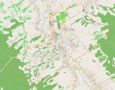 Mapa konturowa Brzozowa, w centrum znajduje się punkt z opisem „Bazylika kolegiacka Przemienienia Pańskiego w Brzozowie”