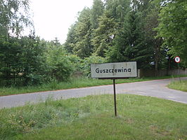 Guszczewina