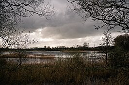 De vochtige graslanden van het natuurreservaat