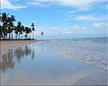 Tamandaré Beach.