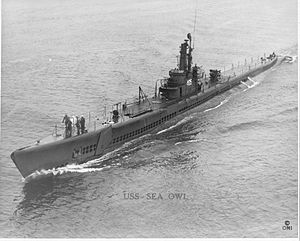 Sea Owl (SS-405), World War II appearance.