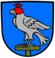 Jagdfalke mit Haube Falkau