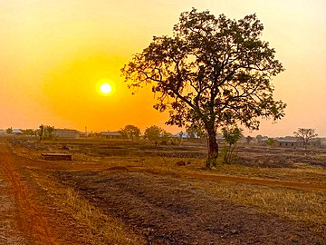 "Dawadawa Tree in Clean and Beautiful Environment," Ghana